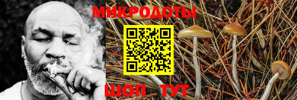 Рославль  Псилоцибиновые грибы Magic Shrooms  Вход с VPN 