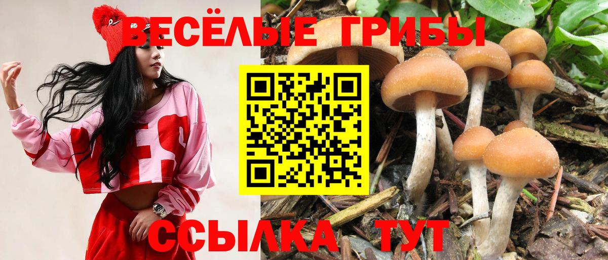 Галлюциногенные грибы MAGIC MUSHROOMS Рославль